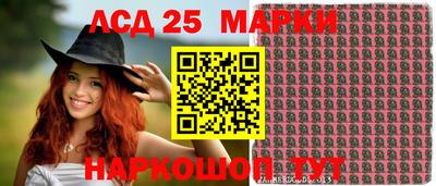 гидра Моздок