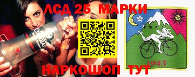 гидра Моздок