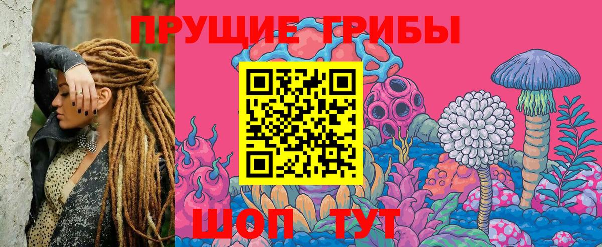 Дивногорск  Псилоцибиновые грибы Magic Shrooms  Вход с VPN 