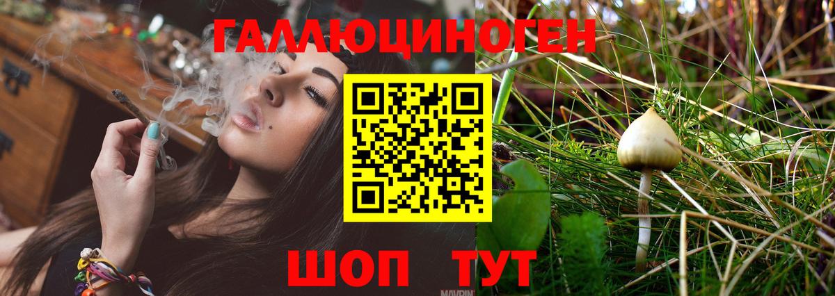 Псилоцибиновые грибы GOLDEN TEACHER Дивногорск